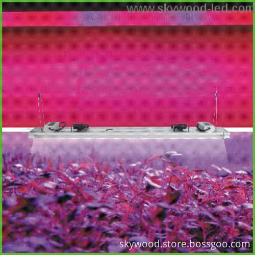 170w Intelligent led grow lamp,remote&networking,super slim design